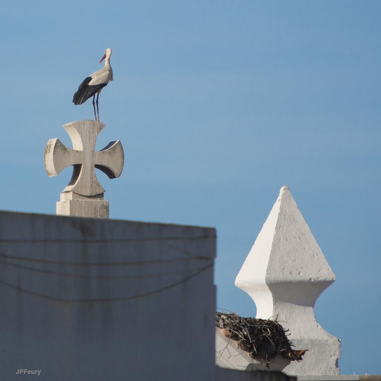 Entrecubos Guesthouse Olhao Exterior photo