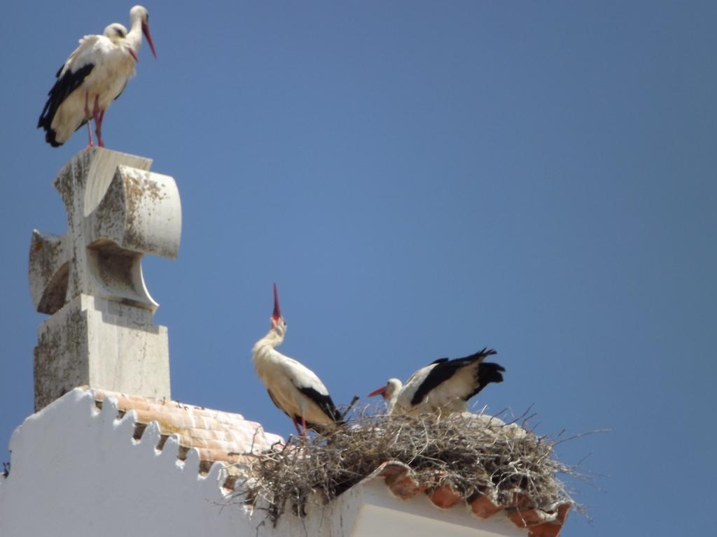 Entrecubos Guesthouse Olhao Exterior photo