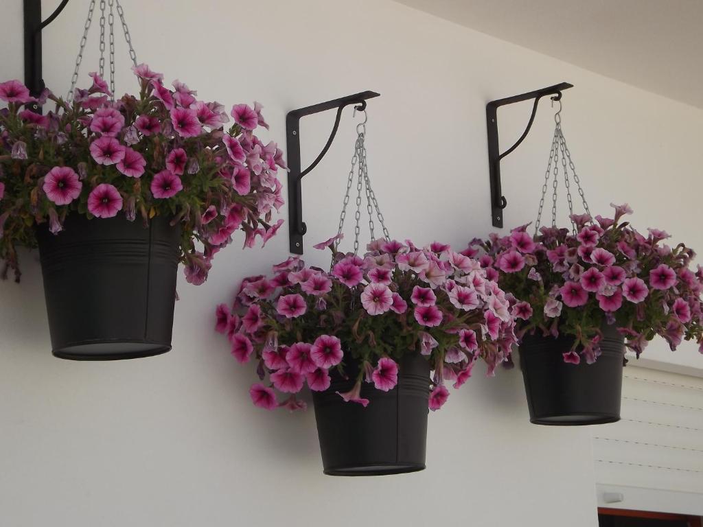 Entrecubos Guesthouse Olhao Room photo